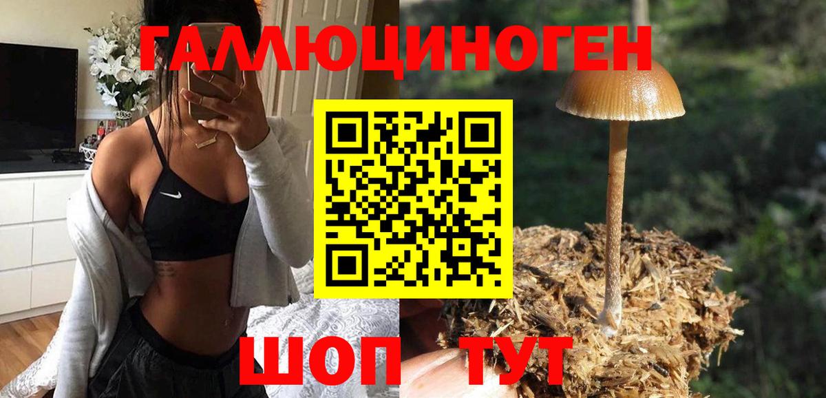 Нарткала  Галлюциногенные грибы Psilocybine cubensis  Вход с VPN 